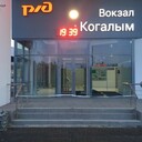 Фотографии ленты